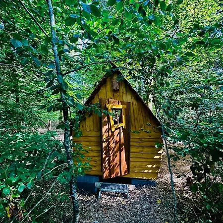 Insolites Au Sein Du Parc Symbiosa Camping
