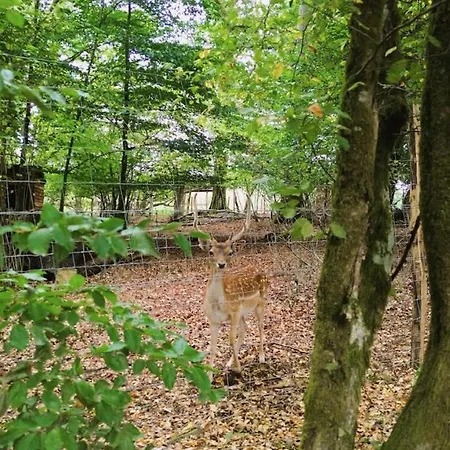 Camping Insolites Au Sein Du Parc Symbiosa Bièvre