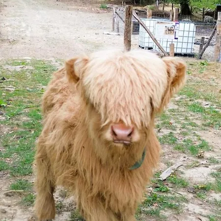 Insolites Au Sein Du Parc Symbiosa Bièvre